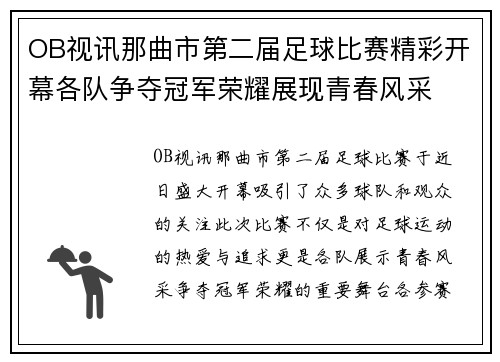 OB视讯那曲市第二届足球比赛精彩开幕各队争夺冠军荣耀展现青春风采